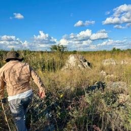 terra metals growth strategy